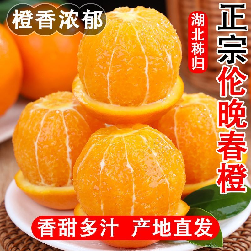 【彩箱精品果】湖北秭归伦晚脐橙当季新鲜时令自然成熟甜橙 大果图片