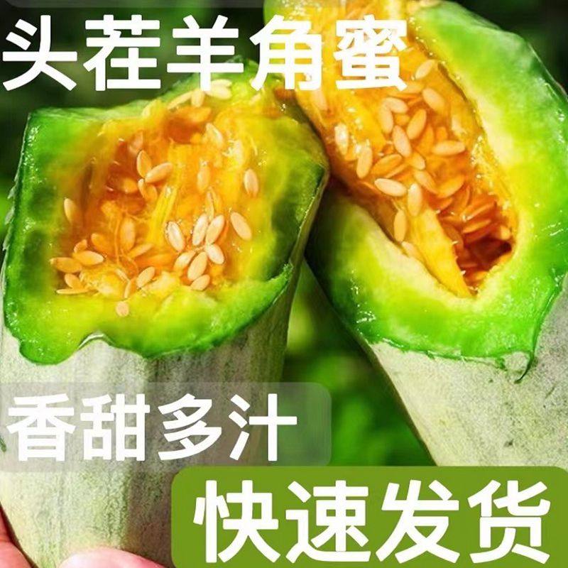 当天现摘现发博洋羊角蜜五斤包邮整箱当季新鲜水果坏果包赔