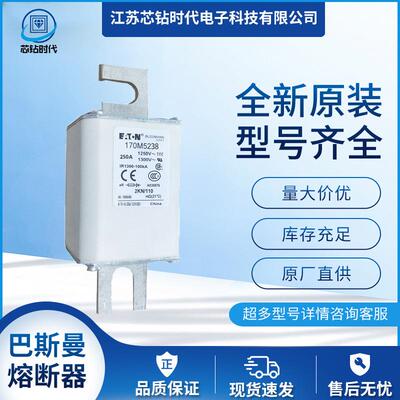 170M5241 170M5242 170M5243 巴斯曼BUSSMANN熔断器保险丝