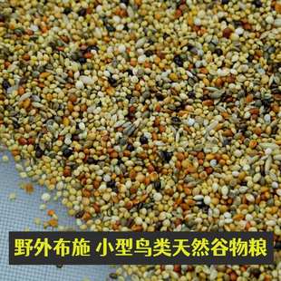 鸟食小型鸟粮野外布施麻雀斑鸠天然投喂专用带壳粮跨境厂家直销