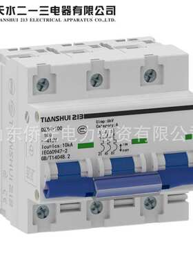 天水二一三小型断路器DZX4-100 2P3PD80AD100A空气开关