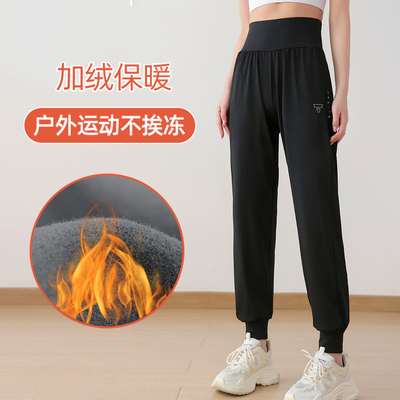 哈梵夏季新款瑜伽裤后腰透气