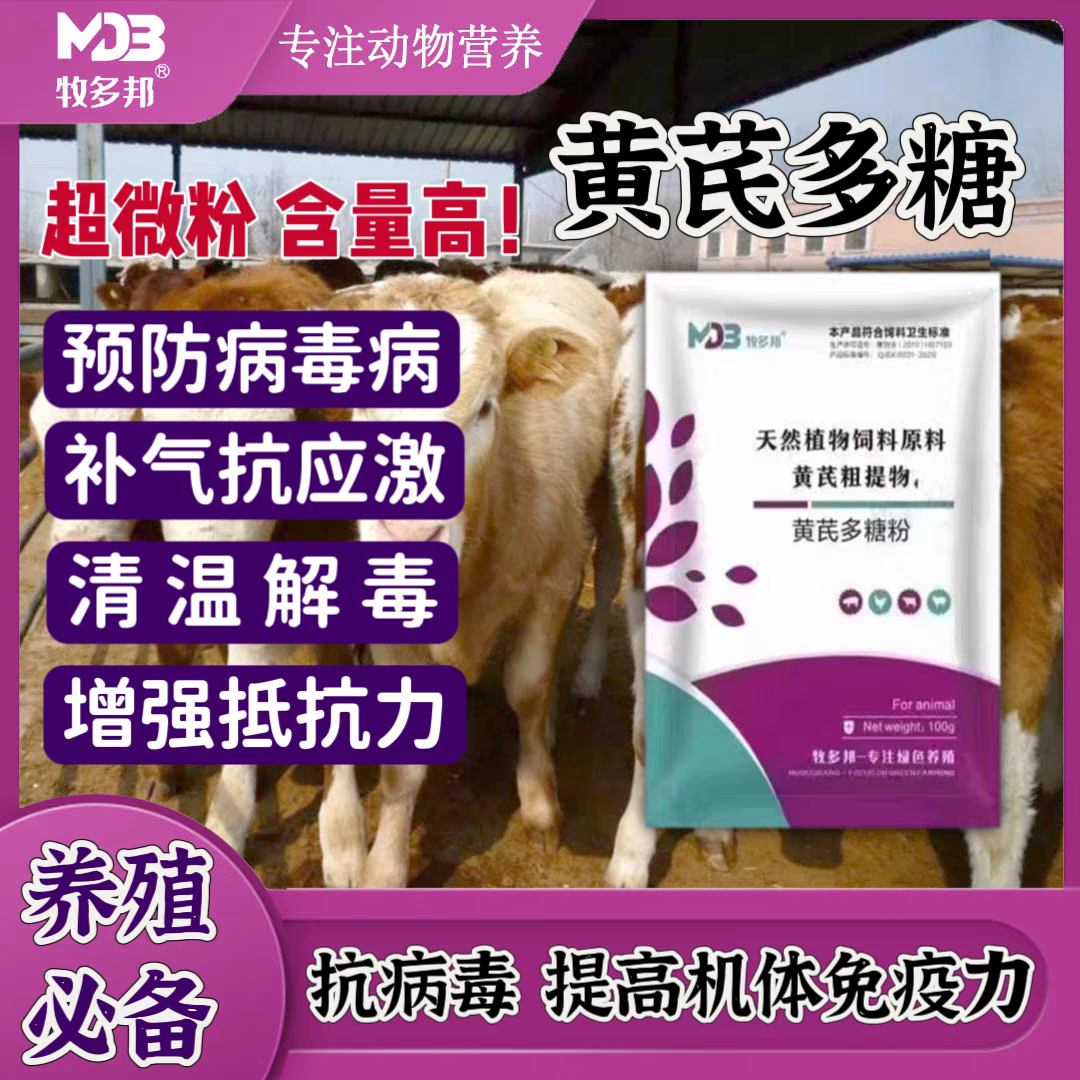 黄芪多糖清热解毒抗病毒净化体内毒素猪牛羊增强免疫力羊牛兽用