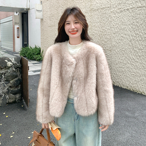 韩版气质皮毛一体羊羔毛外套女秋冬2025新款防水貂绒独特漂亮超火图片