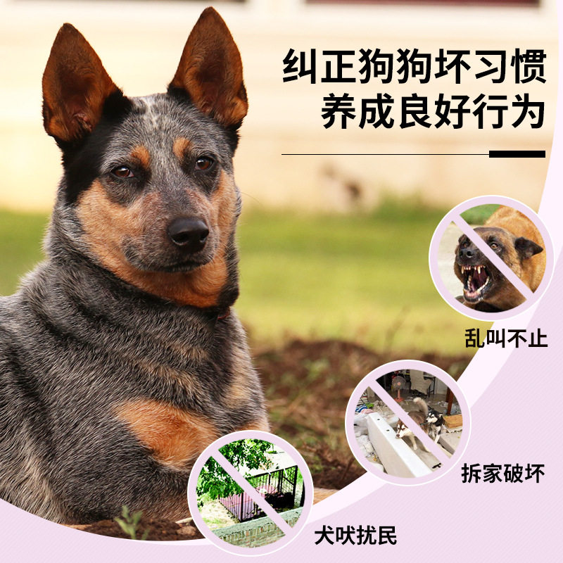 亚马逊热款遥控训犬器行为训练训犬器防水可充电远程遥控训狗器