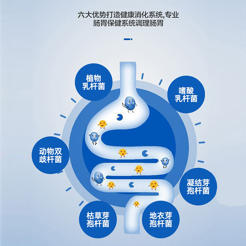 宠物益生菌粉现货代发 猫狗活性益生菌粉调理肠胃呕吐腹泻便秘