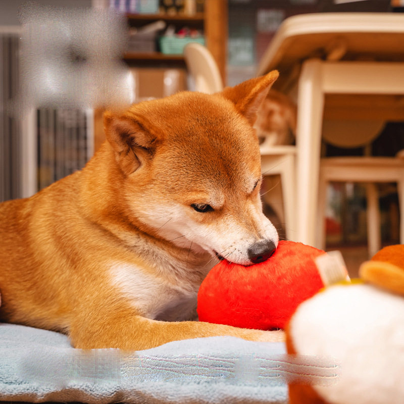 派思维屁屁毛绒玩具发声狗狗玩具自嗨解闷柯基屁股幼犬