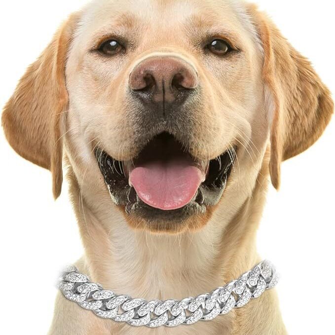 古巴链狗项圈狗金属猫链镶钻项宠物项圈项链猫咪狗链狗牌宠物定制