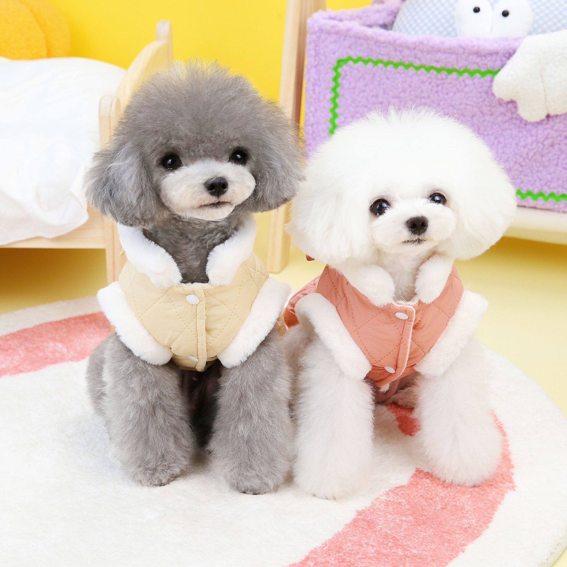 宠物狗狗衣服秋冬装泰迪比熊博美棉衣小型犬狗狗衣服23蝴蝶棉衣裙