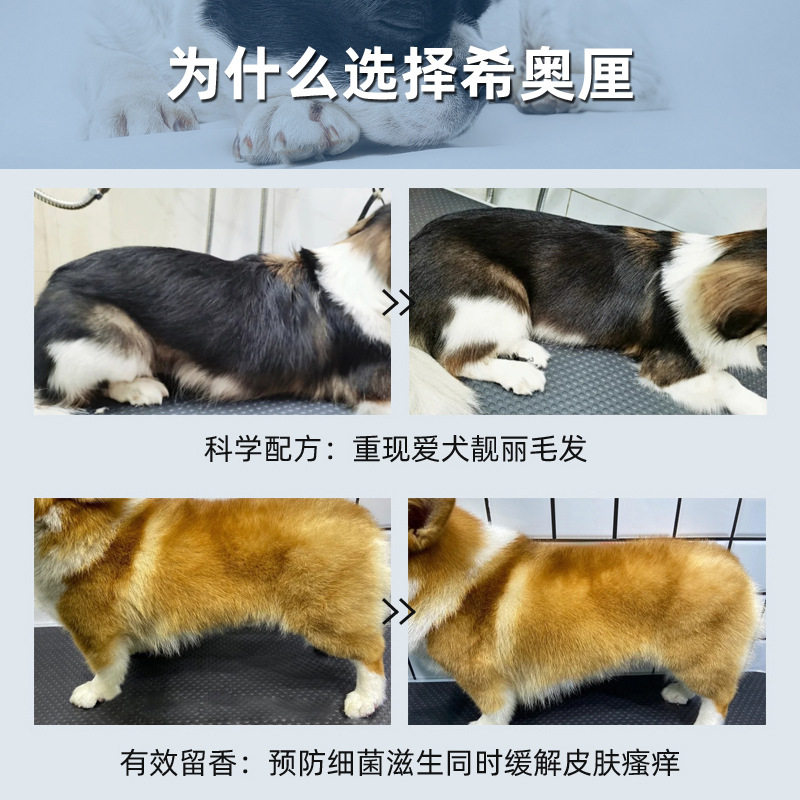宠物沐浴露批发香波浴液抑菌除臭留香洗澡用品狗狗猫咪蓬松护毛素