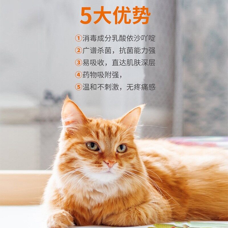 创肤消伤口喷剂猫狗兔子皮肤咬伤烫伤感炎染 宠物医院消毒60ml/瓶