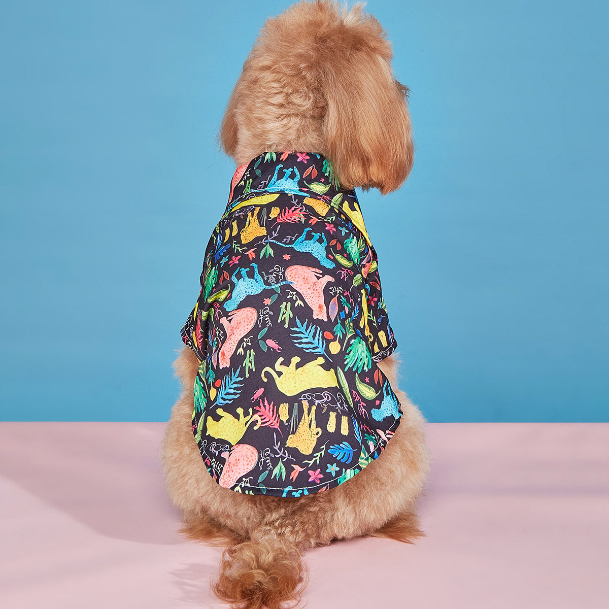 厂家批发宠物衣服海滨度假风猫狗通用动物棕榈叶图案宠物衬衫