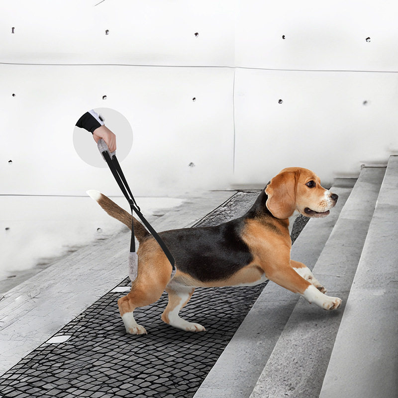 跨境新品高龄犬后腿护理用宠物牵引后腿残疾受伤老龄狗狗辅助带