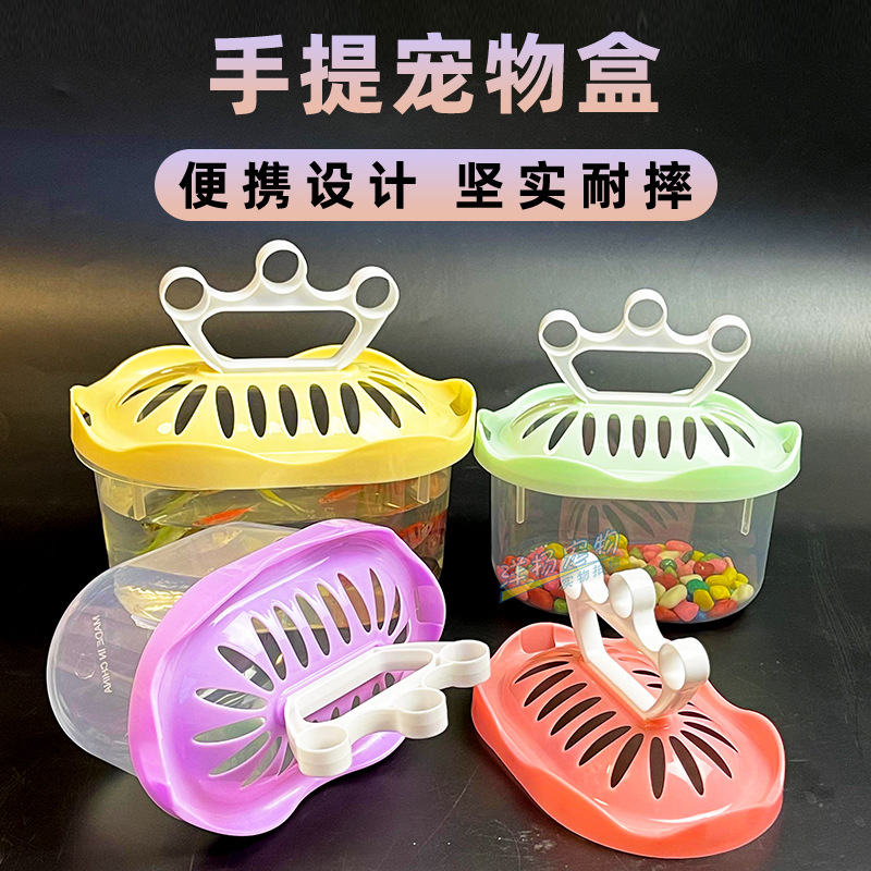 皇冠手提乌龟盒塑料小鱼缸透明带盖宠物盒子爬宠运输缸夜市摆地摊