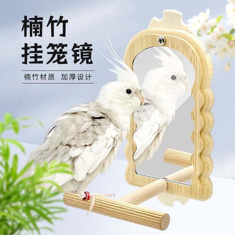 全身镜子实木玩具鸟笼互动装饰小鸟用玄凤虎皮牡丹益智配件新