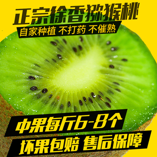 二妞家江山徐香中果弥猕猴桃绿心奇异果新鲜当季水果带箱5斤包邮