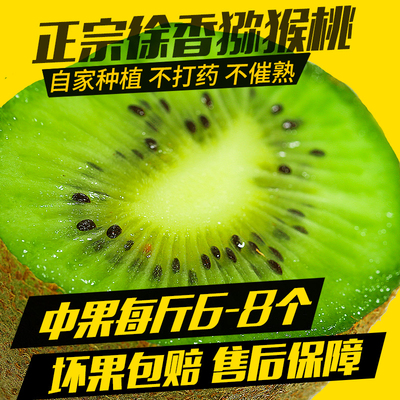 二妞绿心江山徐香猕猴桃香甜多汁