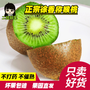 二妞正宗江山徐香弥猕猴桃特大果绿心奇异果新鲜水果带箱5斤