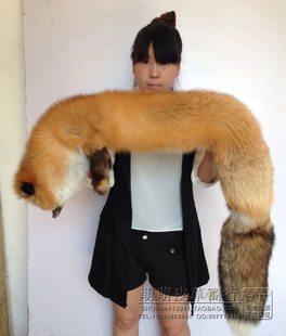 狐狸皮围脖整只超大红狐皮草披肩狐狸毛围巾火狐狸婚庆冬真皮毛领