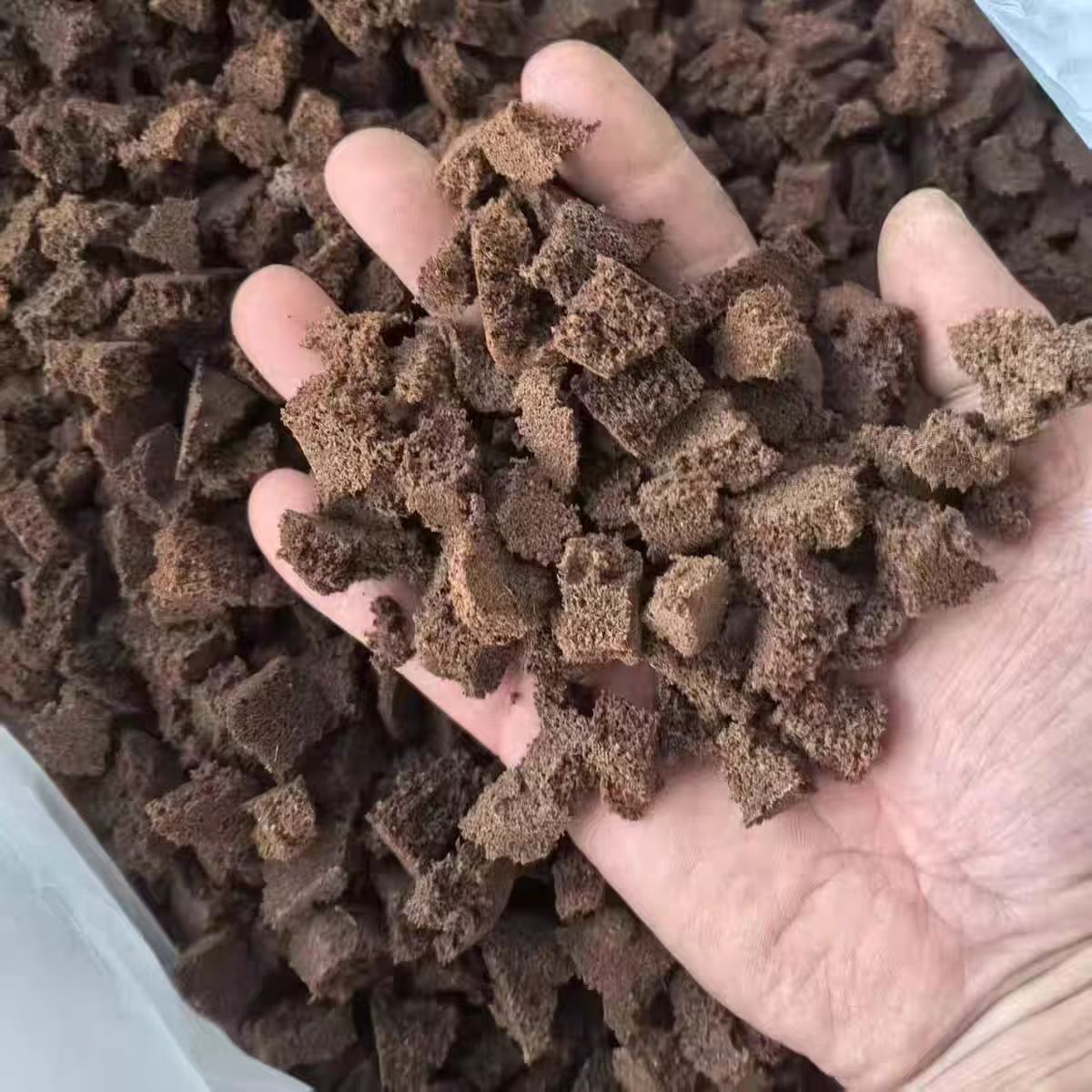 碳棉块蝴蝶兰发根花烛种植发根