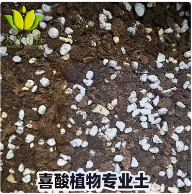 自配KLASMANN-K牌933喜酸植物土适合绣球茶花茉莉土杜鹃蓝莓酸性