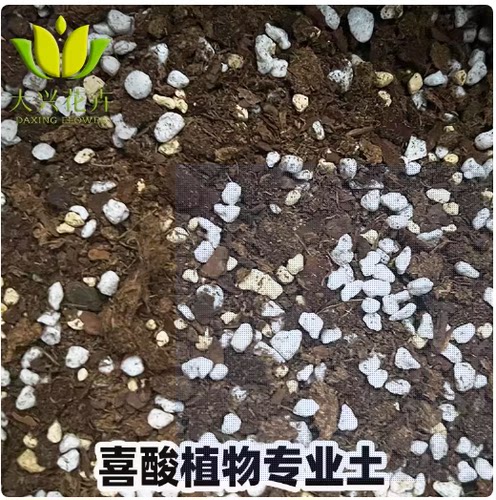 自配KLASMANN-K牌933喜酸植物土适合绣球茶花茉莉土杜鹃蓝莓酸性