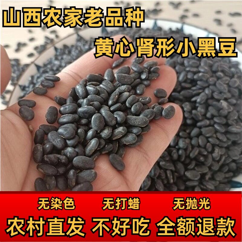 黄心黑豆农家自产黄芯肾形非转基因老品种打豆浆发豆芽专用小黑豆