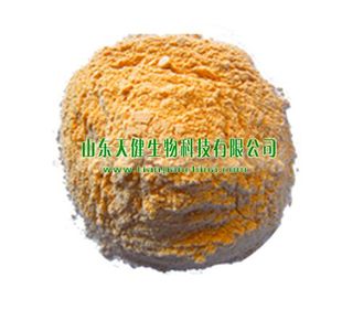 DHA裂殖壶藻粉/优质裂殖壶藻粉/高含量裂殖壶藻粉