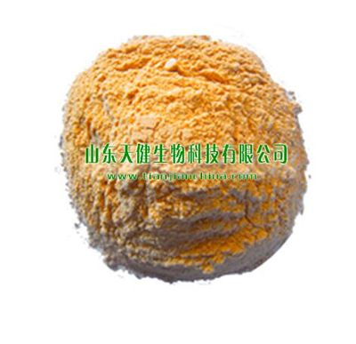 DHA裂殖壶藻粉/优质裂殖壶藻粉/高含量裂殖壶藻粉