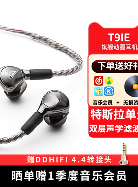 Iriver/艾利和 AK T9iE 动圈旗舰HiFi入耳式发烧耳机耳塞特斯拉