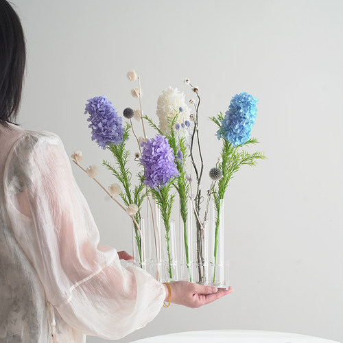 12种颜色永生风信子真花耐摆放