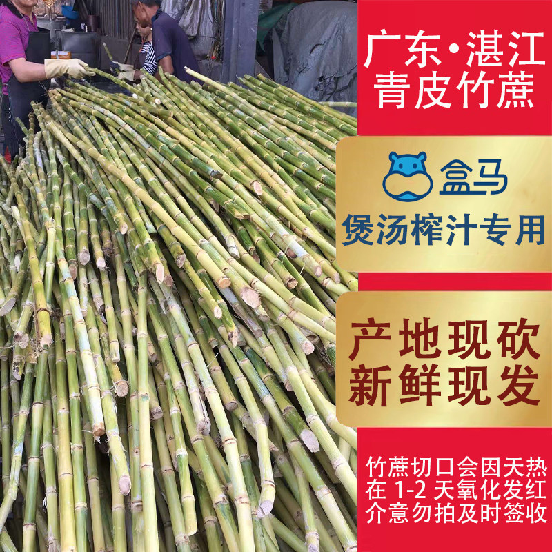 广东青皮竹蔗5斤商用50斤160元包邮100斤300元榨汁煲汤湛江甘蔗_虎窝淘