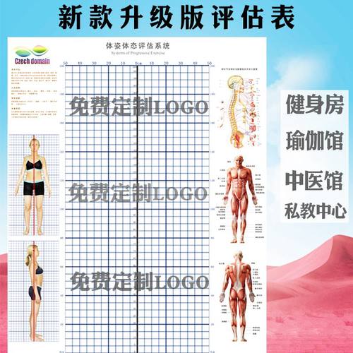体态评估表墙贴健身房体测网格纸