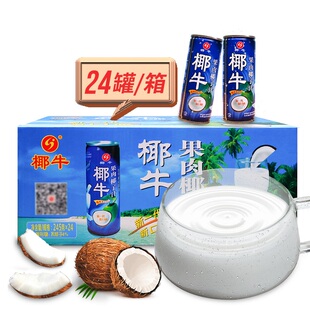 海南特产椰牛果肉椰子汁245ml*24罐整箱椰味香浓植物蛋白生榨饮品