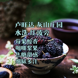 咖啡巴士卢旺达灰山水洗红波旁半磅下单新鲜烘焙单品咖啡手冲咖啡