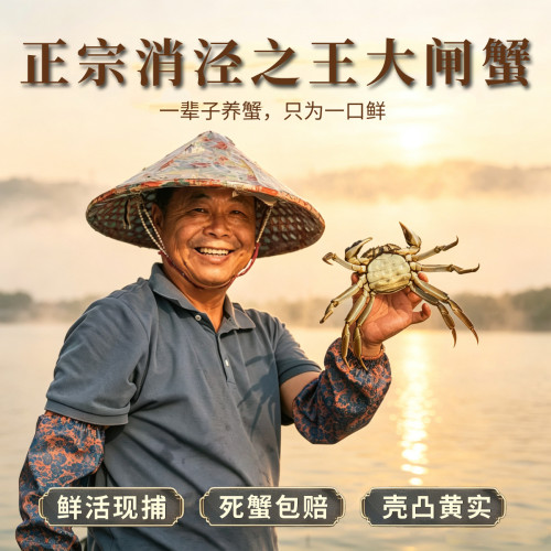 【活蟹现货】大闸蟹鲜活全母蟹