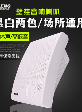 家豪佳 JHJ-570挂壁式音箱店铺超市背景音乐音响喇叭5寸会议音箱