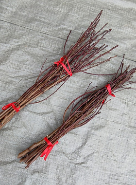 镇宅桃花枝野生桃木棍轻奢手工干枝阳台装饰卧室客厅东南桃树护身