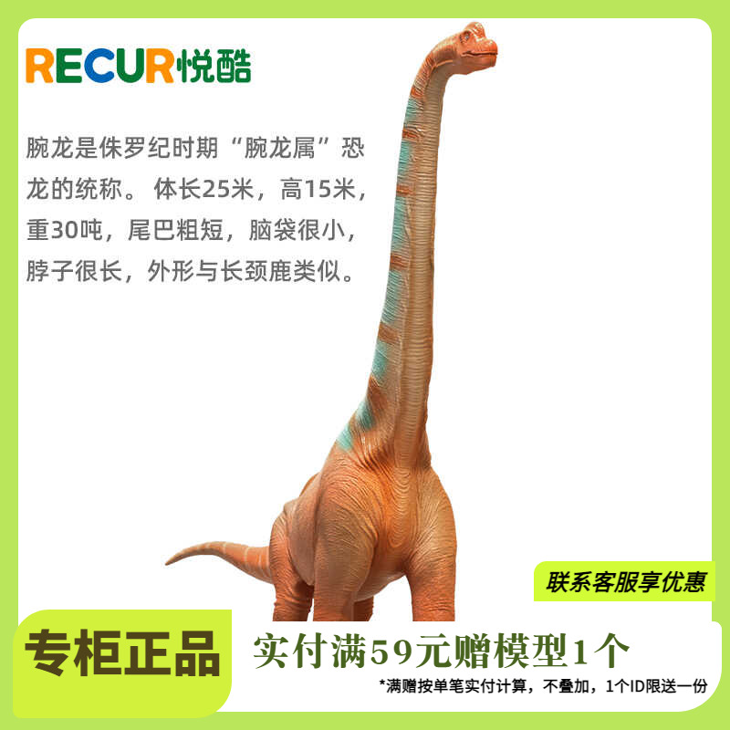 腕龙RECUR悦酷仿真恐龙模型