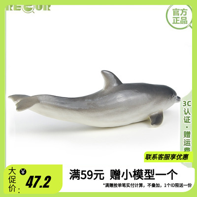 重现RECUR海豚海洋世界动物模型