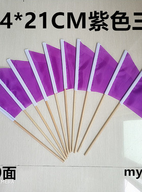 包邮10面8号14*21CM紫色小旗 紫色三角旗 小彩旗 幼儿园做操彩旗