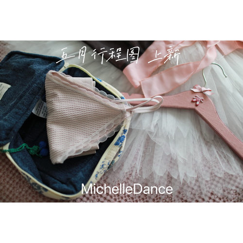 MichelleDance   温柔仙子出口无钢圈内衣吊带可调节芭蕾色胸垫