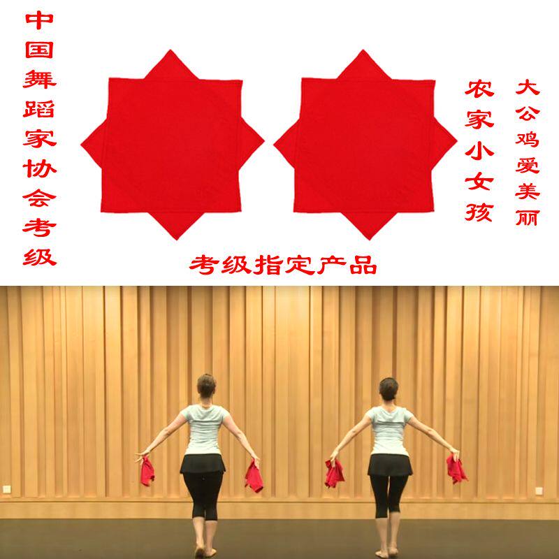 舞协大公鸡爱美丽农家小女孩民族舞蹈考级手绢道具秧歌手绢花一对