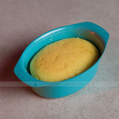 青色迷你椭圆乳酪布丁果冻模LFGB