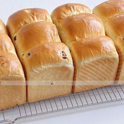 304不锈钢长方形晾网烘焙工具