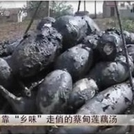 湖北馆 蔡甸莲藕 莲花湖莲藕 带泥粉莲藕 蔡甸藕汤 5斤13省市包邮