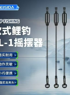 FEISIDA不锈钢摇摆器 欧鲤钓摇摆器 55克 大物摇摆器远投摇摆器