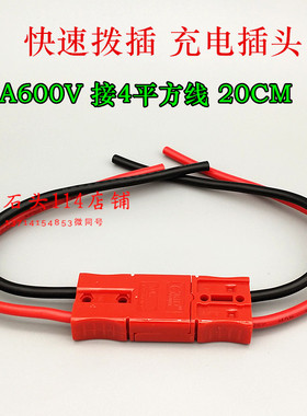 两极40a600v 金百合轮椅车 洗地机充电器插头插座锂电池改装 红色