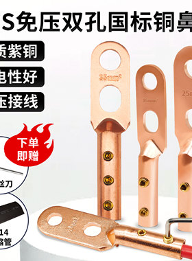 免压双孔国标铜鼻子DTS16/25/35平方线鼻子免焊接优质紫铜接线头