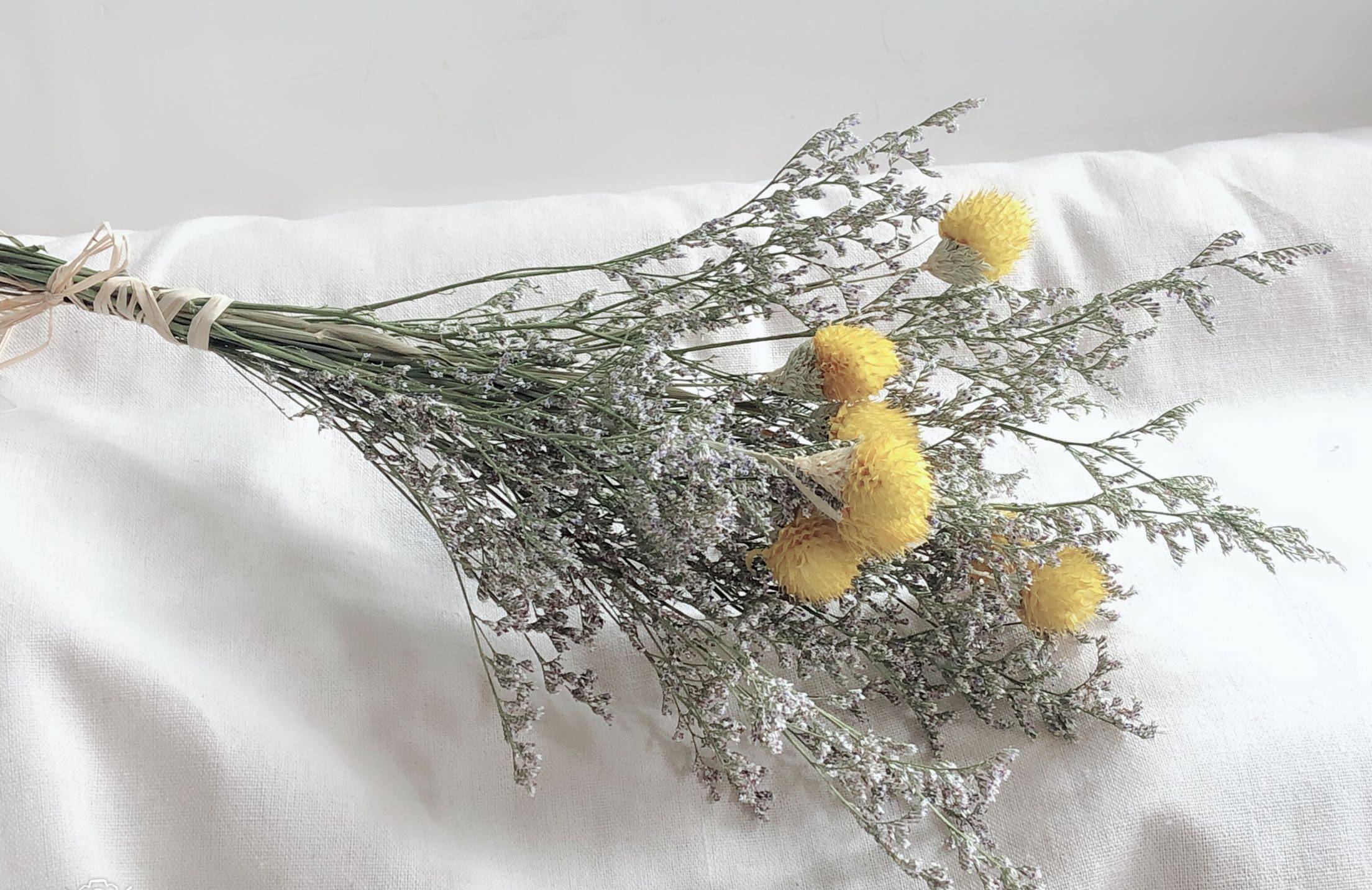 ins小清新天然干花束倒挂花插花瓶diy花束客厅干花黄草莓果情人草